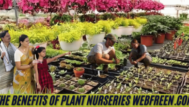 the benefits of plant nurseries webfreen.com