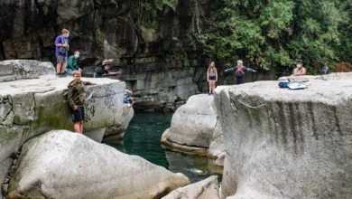 eagle falls washington