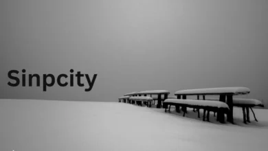 sinpcity